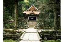 【江南・扶桑・犬山発】*日帰り昼食付*『南信州いちご狩り』3